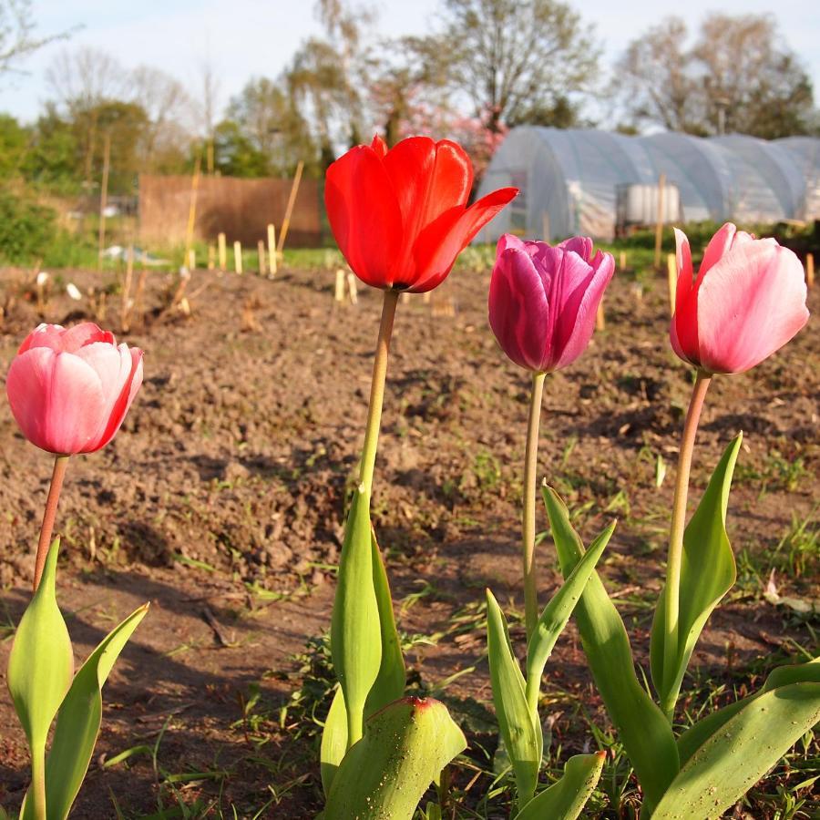 Amsterdam Farm Lodge Eksteriør bilde