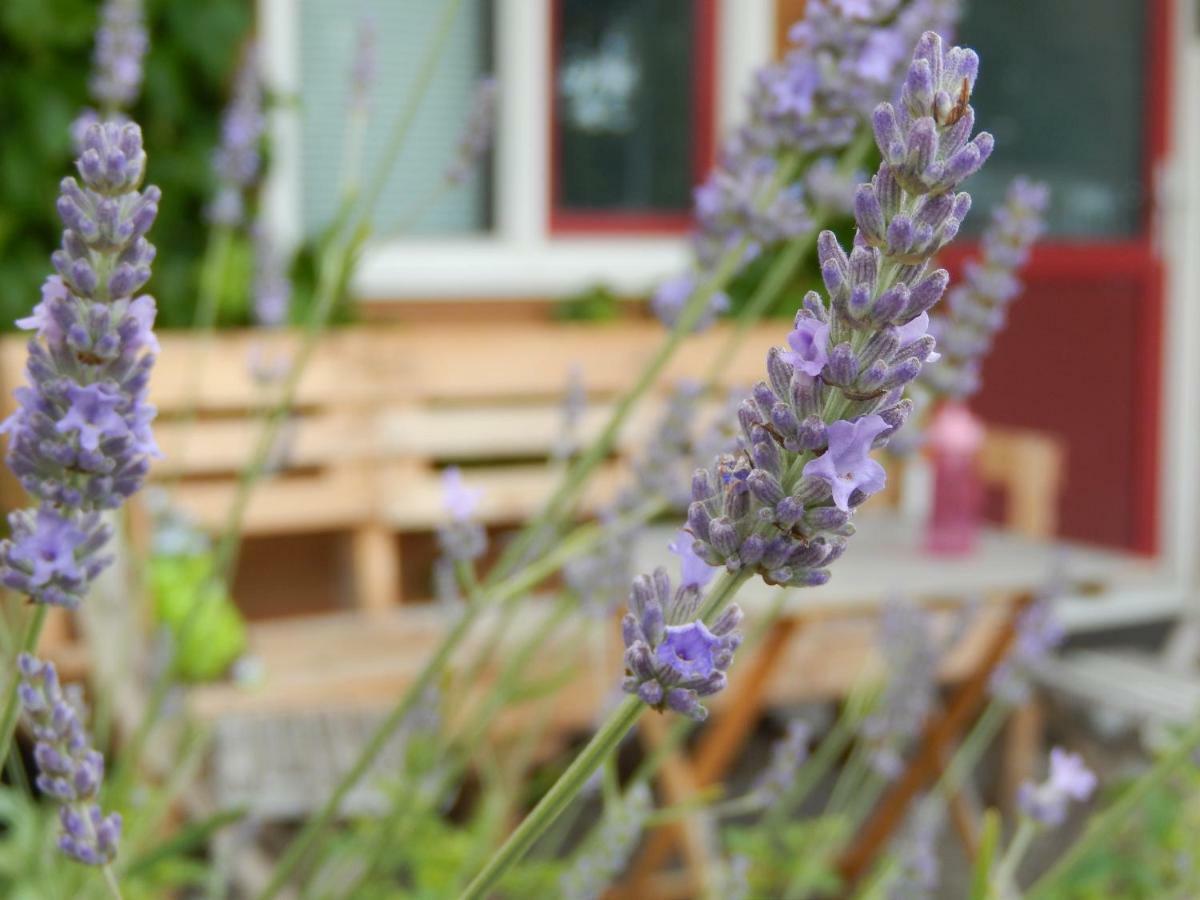 Amsterdam Farm Lodge Eksteriør bilde